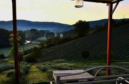 La lavanda di Poppi-mini appartamento - Foto 58