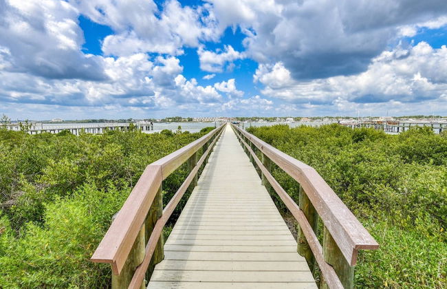 Dolphin View - Photo 17