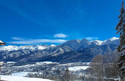 Willa Rąbanisko z sauną fińską - Foto 76