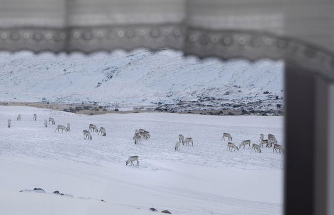 Wilderness Center Óbyggðasetur Íslands - Foto 46