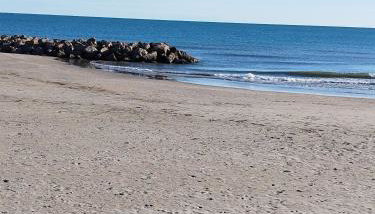 La Terrasse des Voiliers - Foto 5