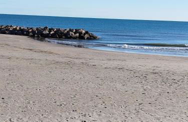 La Terrasse des Voiliers - Foto 5