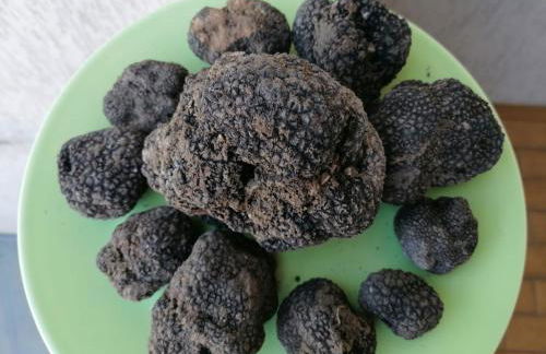 Casa Crevole - Foto 26