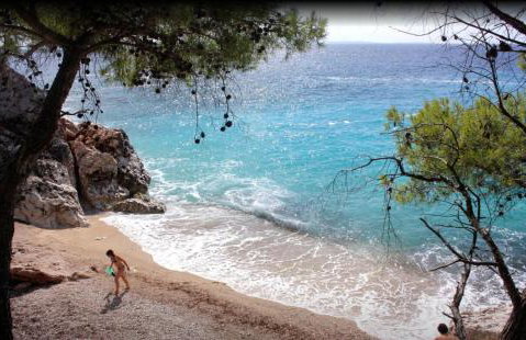 Apartmani Zaninović - Foto 11