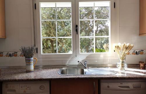 El encinar de Gabino - Foto 44