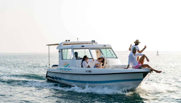 Profitez de l'expérience