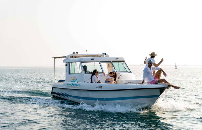 Al Bahrani & Dolphin Islands Day Trip - Foto 4