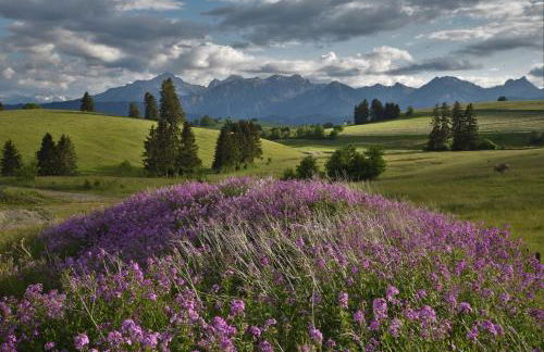Hintere Schöne - Foto 31