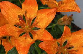 Appartamenti la Fontana - Photo 25