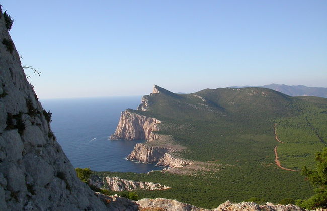 Residenza Gardenia - Foto 19