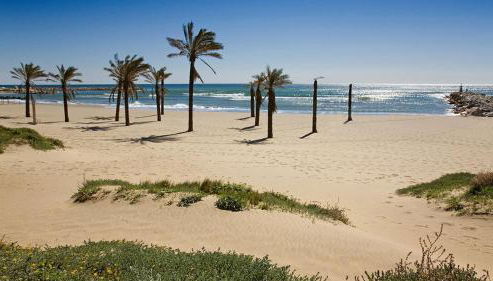 Secret View Puerto Cabopino - Photo 5