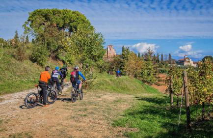 Agriturismo Borgoluce - Foto 23