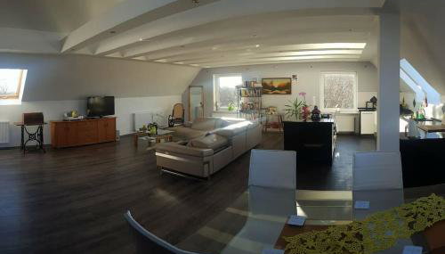 Apartamenty Holiday Slaw jacuzzi bilard - Foto 5