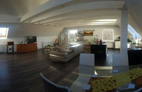 Apartamenty Holiday Slaw jacuzzi bilard - Foto 5