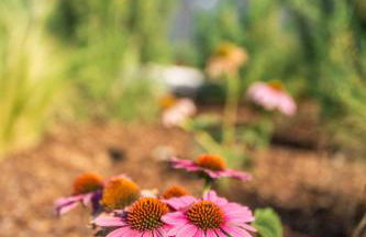 Agriturismo Maria Vittoria - Foto 106