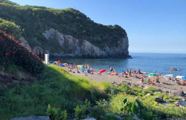 Alojamento CANTO NA RELVA - Photo 15