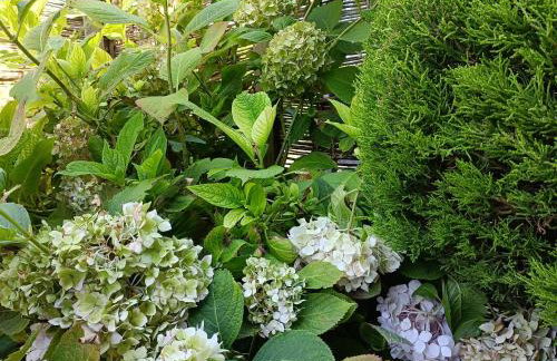 Keeper's Lodge - Foto 30