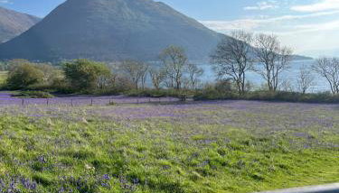 View of the Mountain - Foto 3