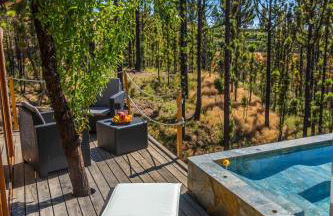 Bodega Linda - Foto 18