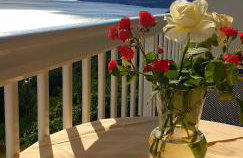 Villa Nikola - Rina - Foto 35