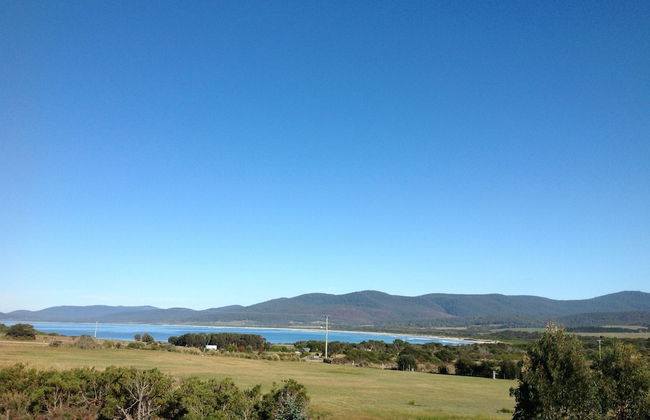 Seymour Waves - Photo 21