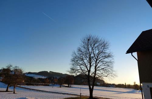 Ferienhaus Rasch - Foto 33