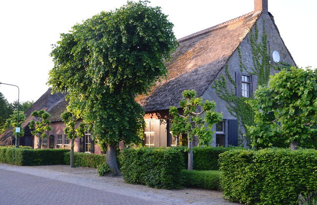 Grand Holiday Home in Alphen with Sauna & Hot Tub - Foto 66