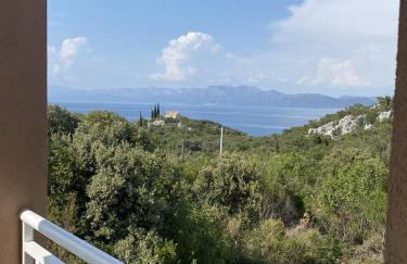 Apartments with parking space Cove Osobjava, Peljesac - 21944 - Foto 15