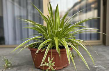 Room& Breakfast Martin's Luxury Bologna - Foto 39