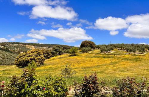 Villa El Desbarbado - Foto 16