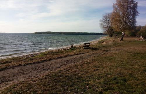 Lenzer Parkblick am Plauer See - Foto 17