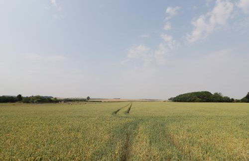 Corner View - Photo 17