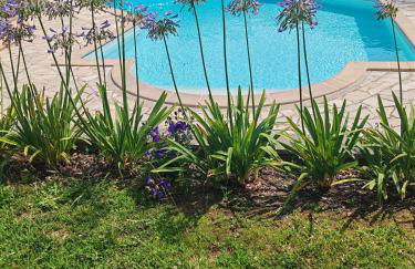 Villa basque piscine chauffée - Foto 34