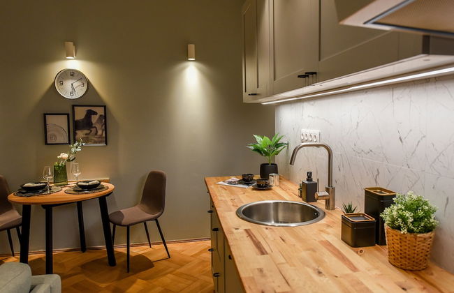 Homey - Bulevardul Carol 1 no. 45 - Foto 24