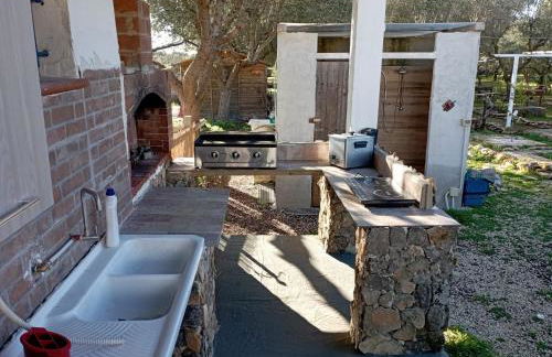 Tenuta L'uliveto - Foto 11