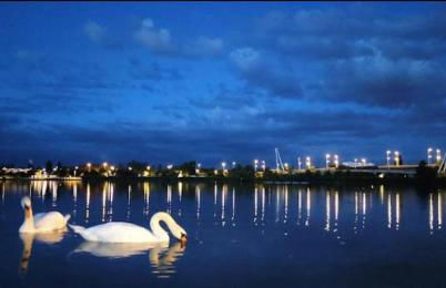 Le Cocon des Rives - Foto 14