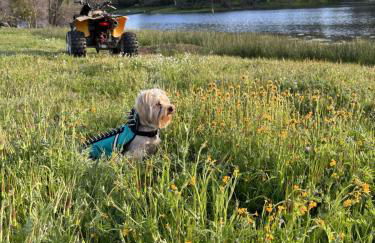 Rolling Oaks Ranch - 200 Acres of Lakeside Beauty & Countryside Serenity - Foto 6