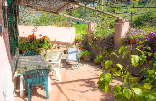 Appartamenti Viticcio Aurora e Fiorita - Goelba - Foto 9