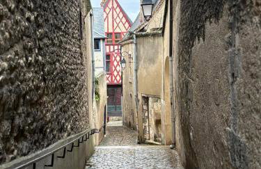 Colombages&Spa - Cœur Historique - Jacuzzi - Foto 17