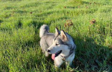 OakTree Villa - Quinta da BellaVista - Foto 17