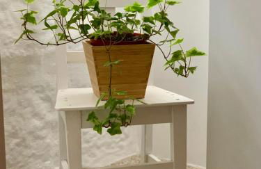 Casa da Lurdinhas - Foto 24