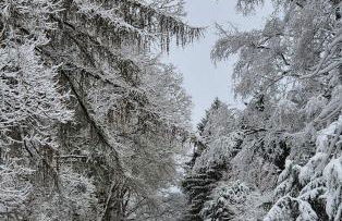 Ferienwohnung Sleep and Stay im Grünen - Foto 5