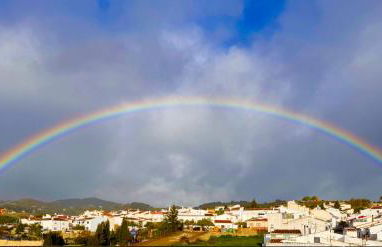 Centro de Arte - Foto 18