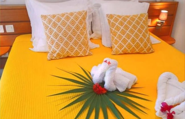 Kaz ananas passion - Photo 12