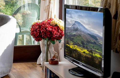 Hafod Rowen - Photo 22