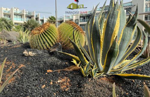CactusVibes Cotillo - Foto 27