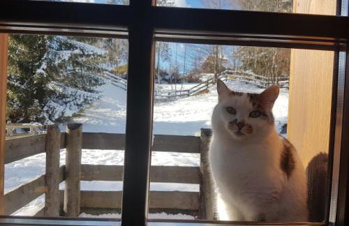 La Lince Lodge - Foto 8