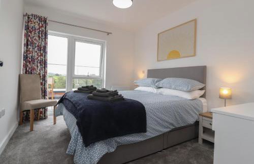 River View - Photo 7