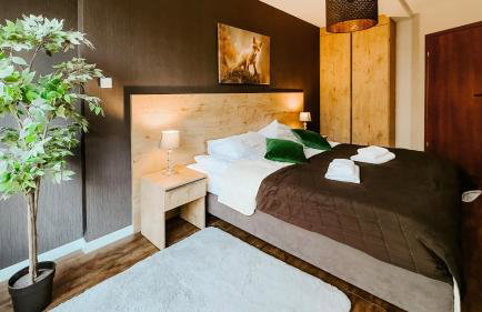 Keller Apart - Kurort Kozubnik K25 - Foto 2