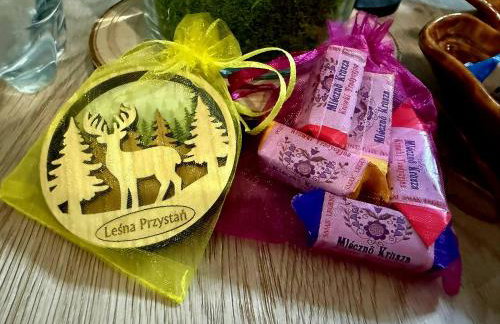 Leśna Przystań Rumia - obok Gdyni i Aquaparku Reda - Foto 22